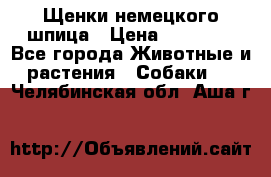 Щенки немецкого шпица › Цена ­ 20 000 - Все города Животные и растения » Собаки   . Челябинская обл.,Аша г.